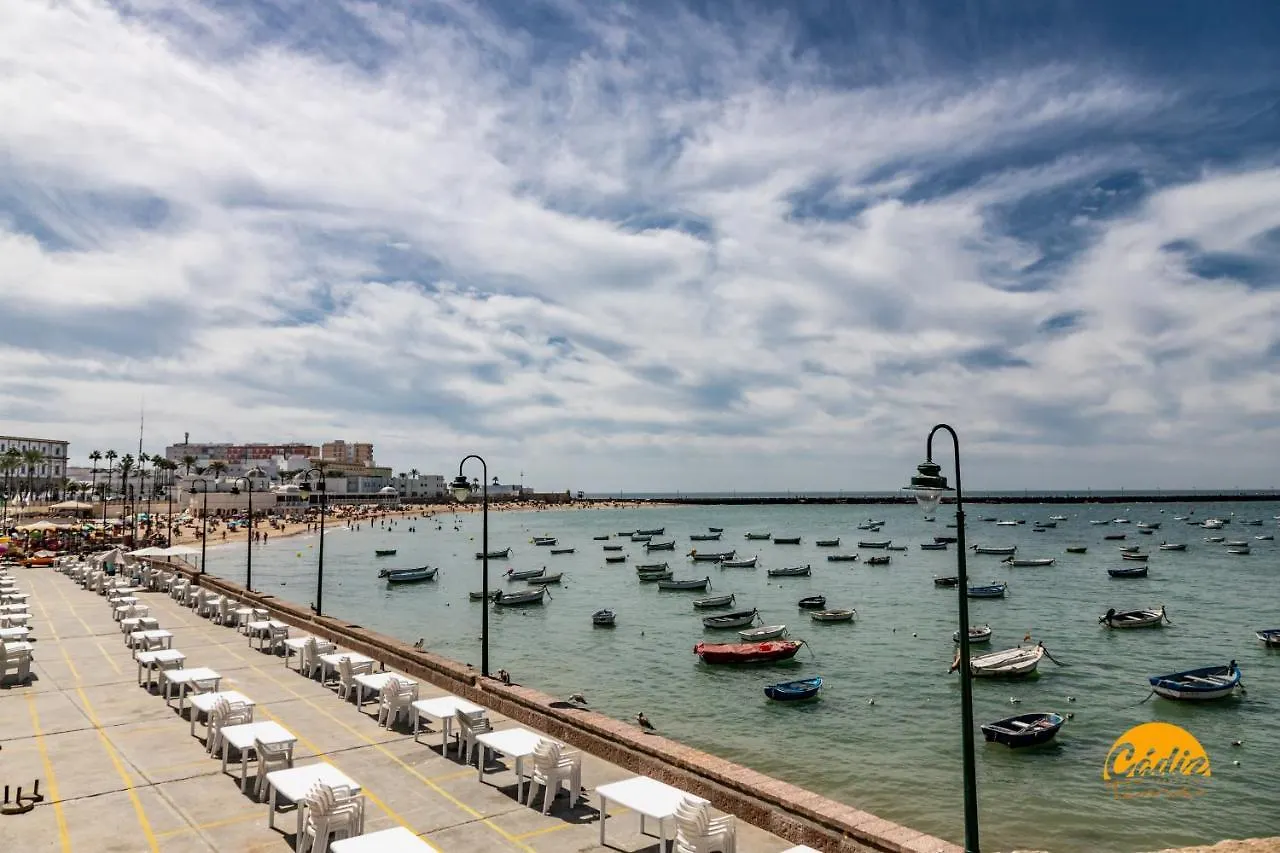 Apartament Tailor'S Home By Cadiz Time Hiszpania